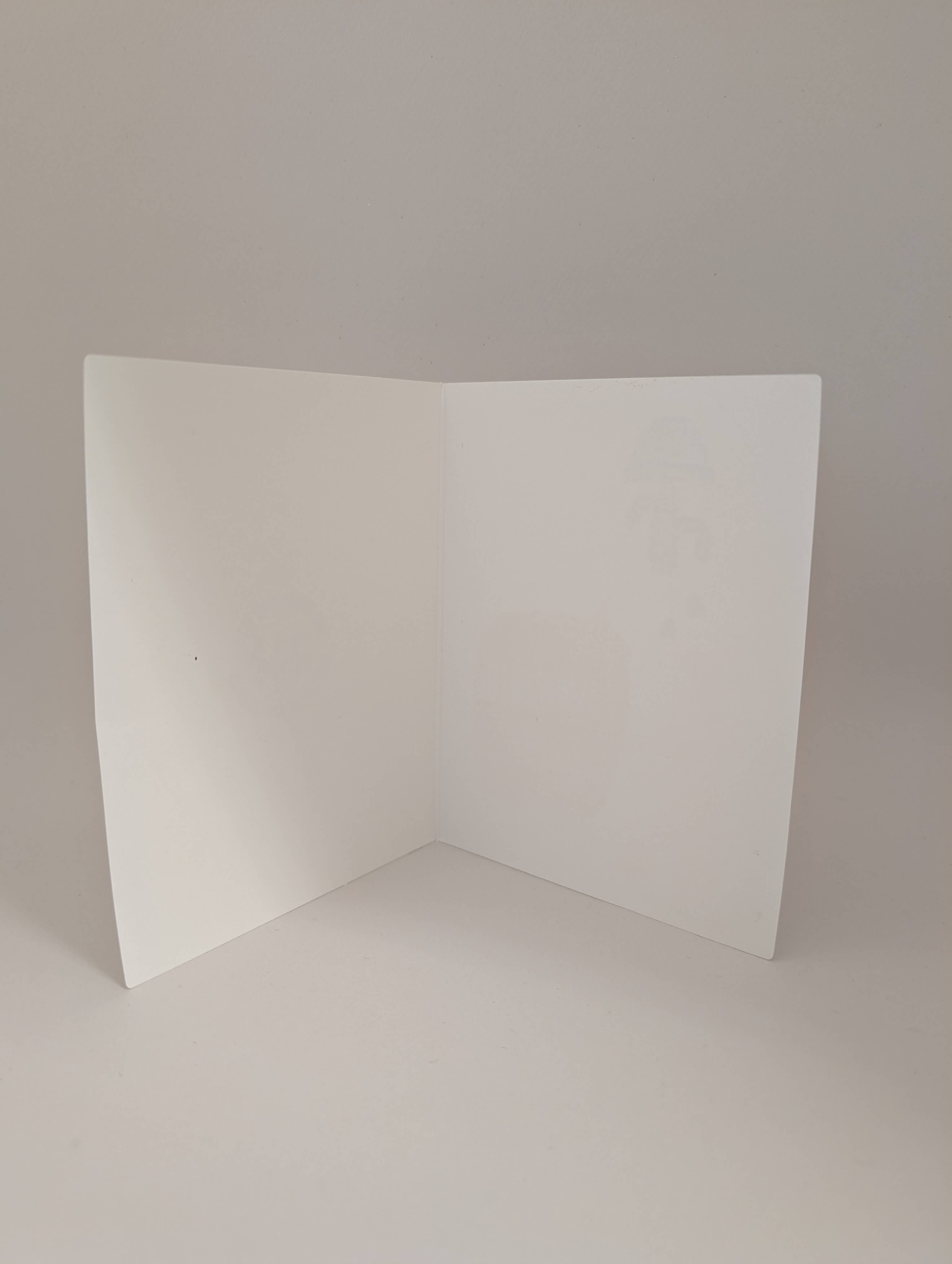 Big Wheel Press - Sailboats