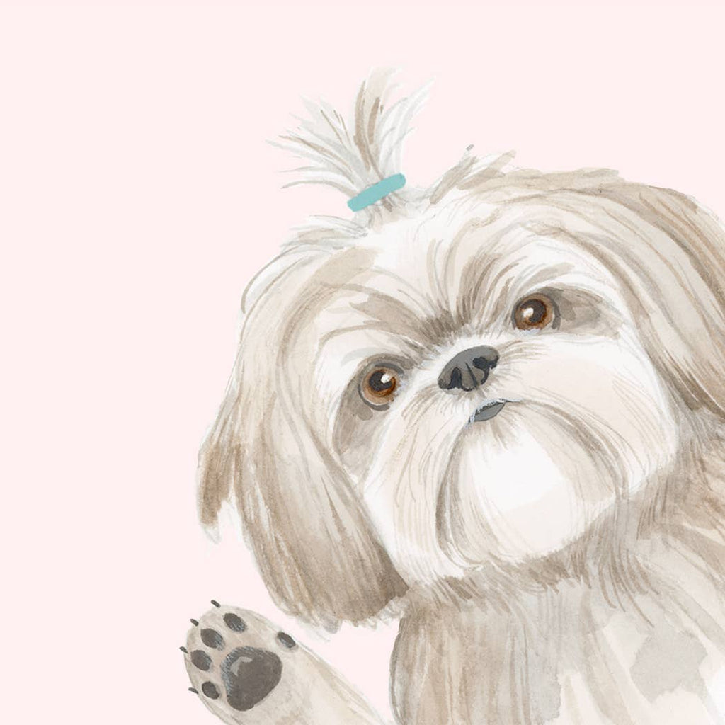 Dear Hancock - Hope Your Birthday is the Shihtz