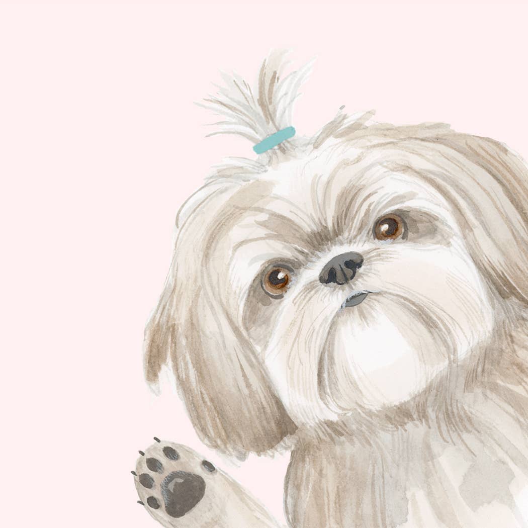 Dear Hancock - Hope Your Birthday is the Shihtz