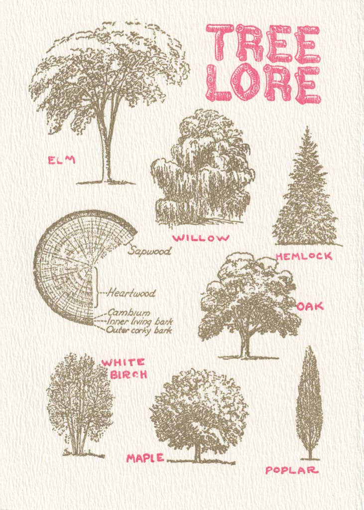 Saturn Press - Tree Lore
