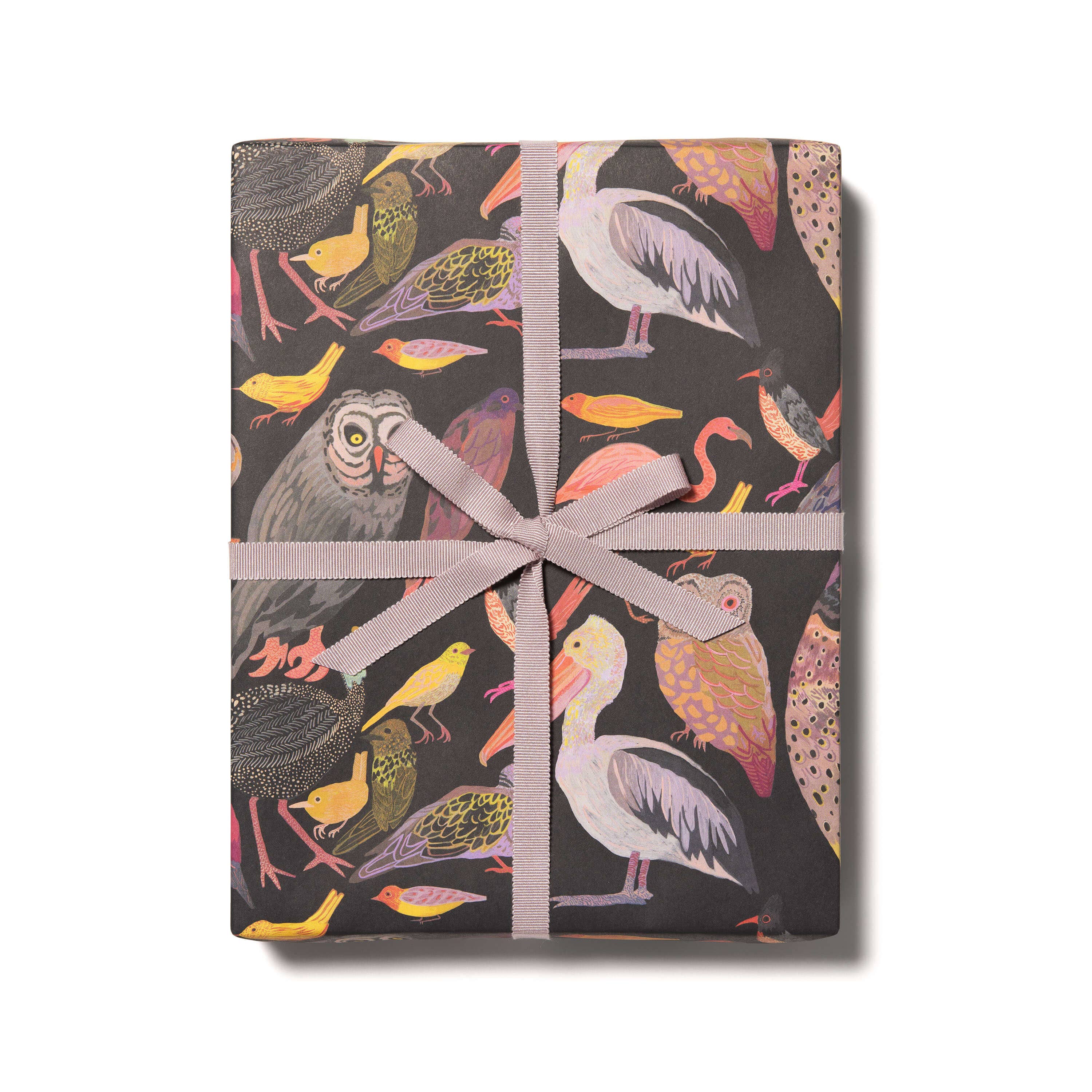Red Cap Cards - Aviary wrapping paper: Flat sheet