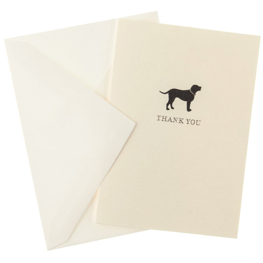 Graphique,   La Petite Presse Black Lab Boxed Notes