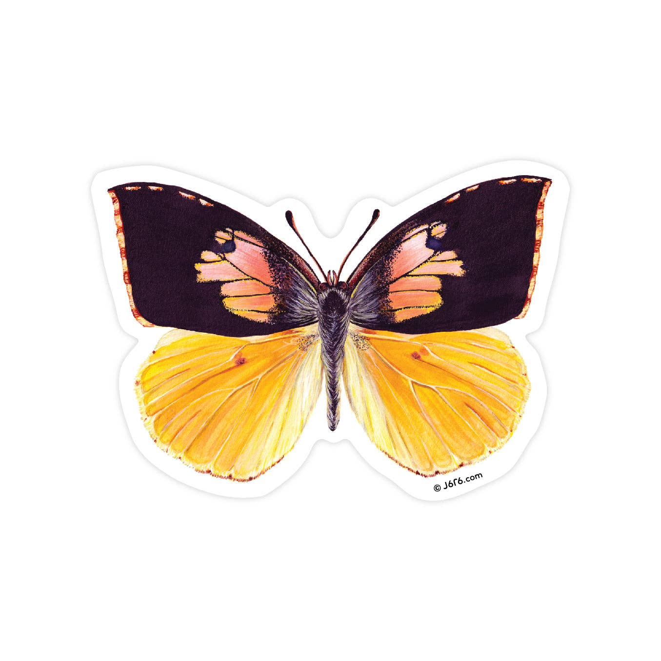 J6R6 - Butterfly 14 Vinyl Sticker (California Dog Face Butterfly)