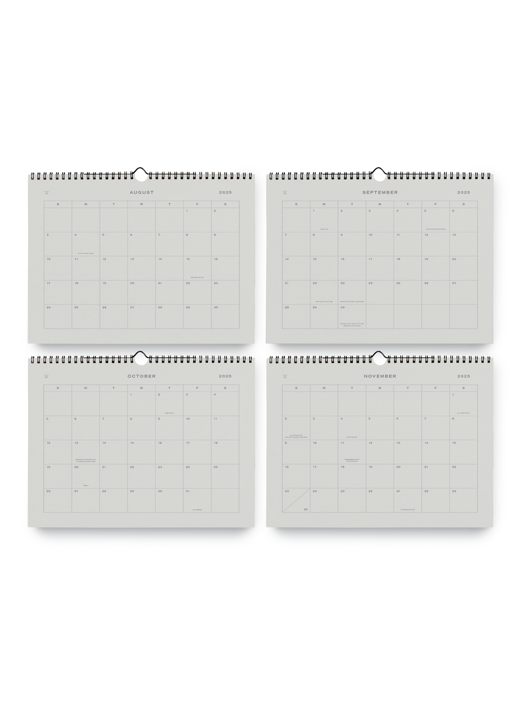 Appointed - 25-26 Studio Wall Calendar