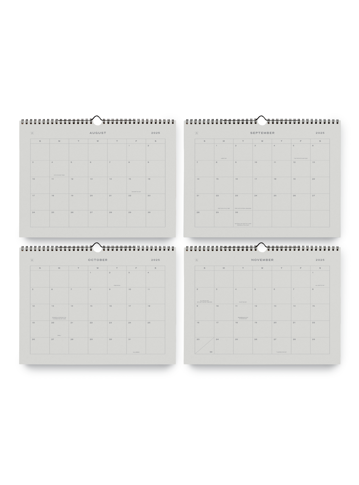 Appointed - 25-26 Studio Wall Calendar