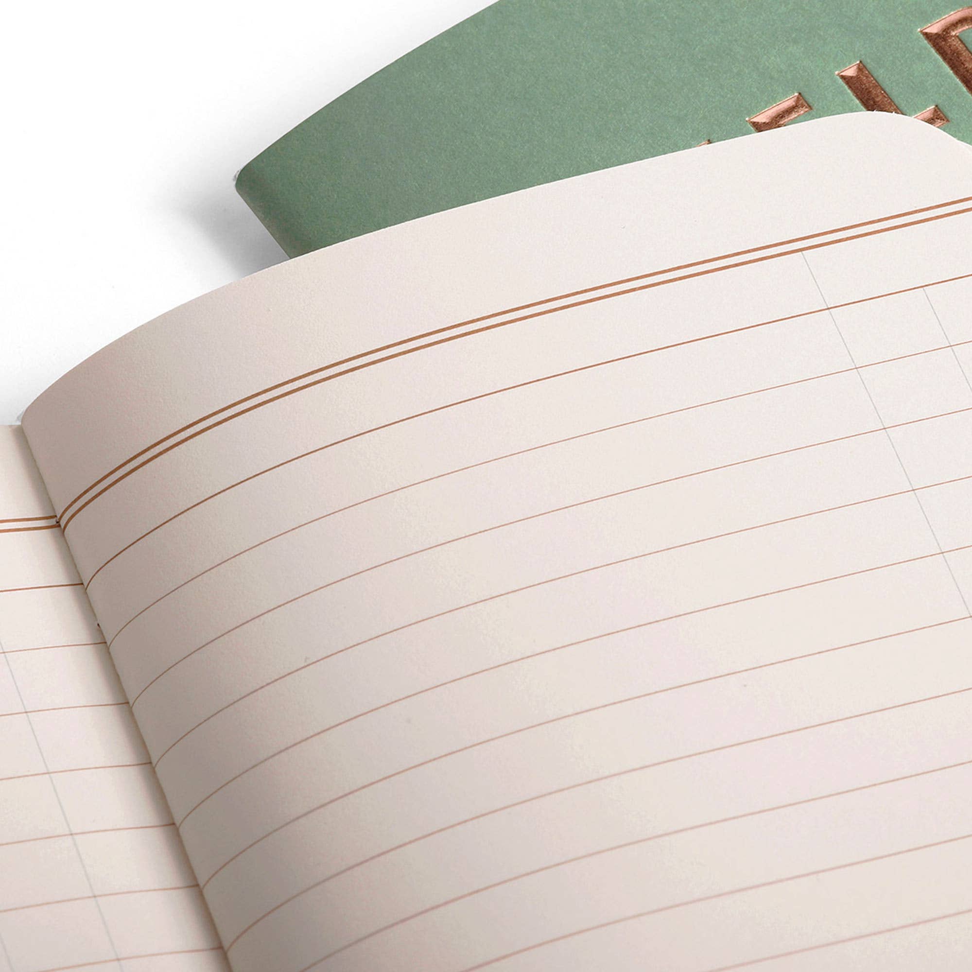Field Notes - Lucky 3-Pack