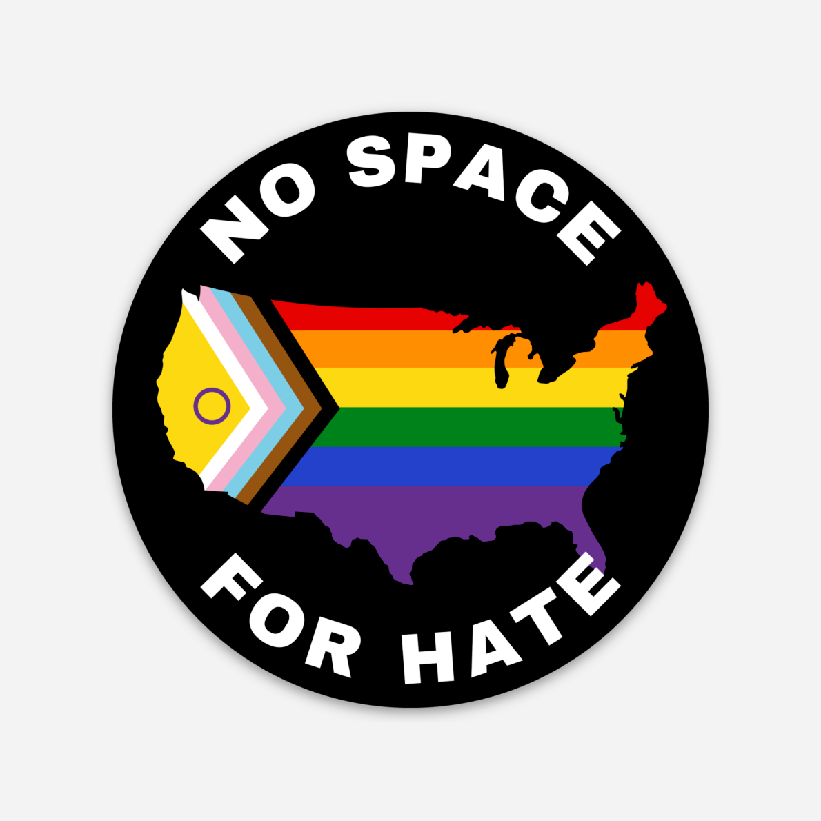 Discovery Stickers - No Space for Hate US Sticker