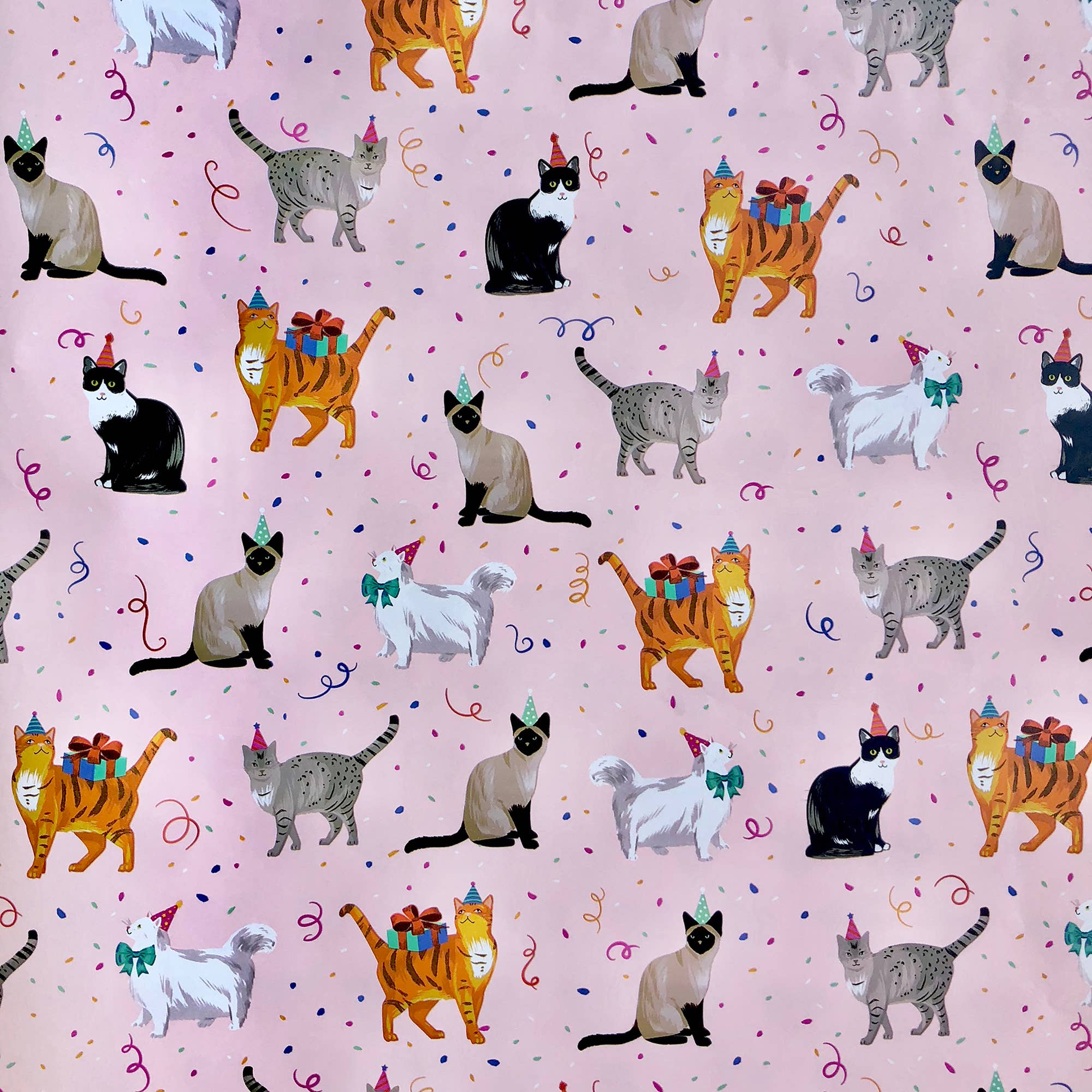 Jillson & Roberts - Festive Felines Gift Wrap - Roll