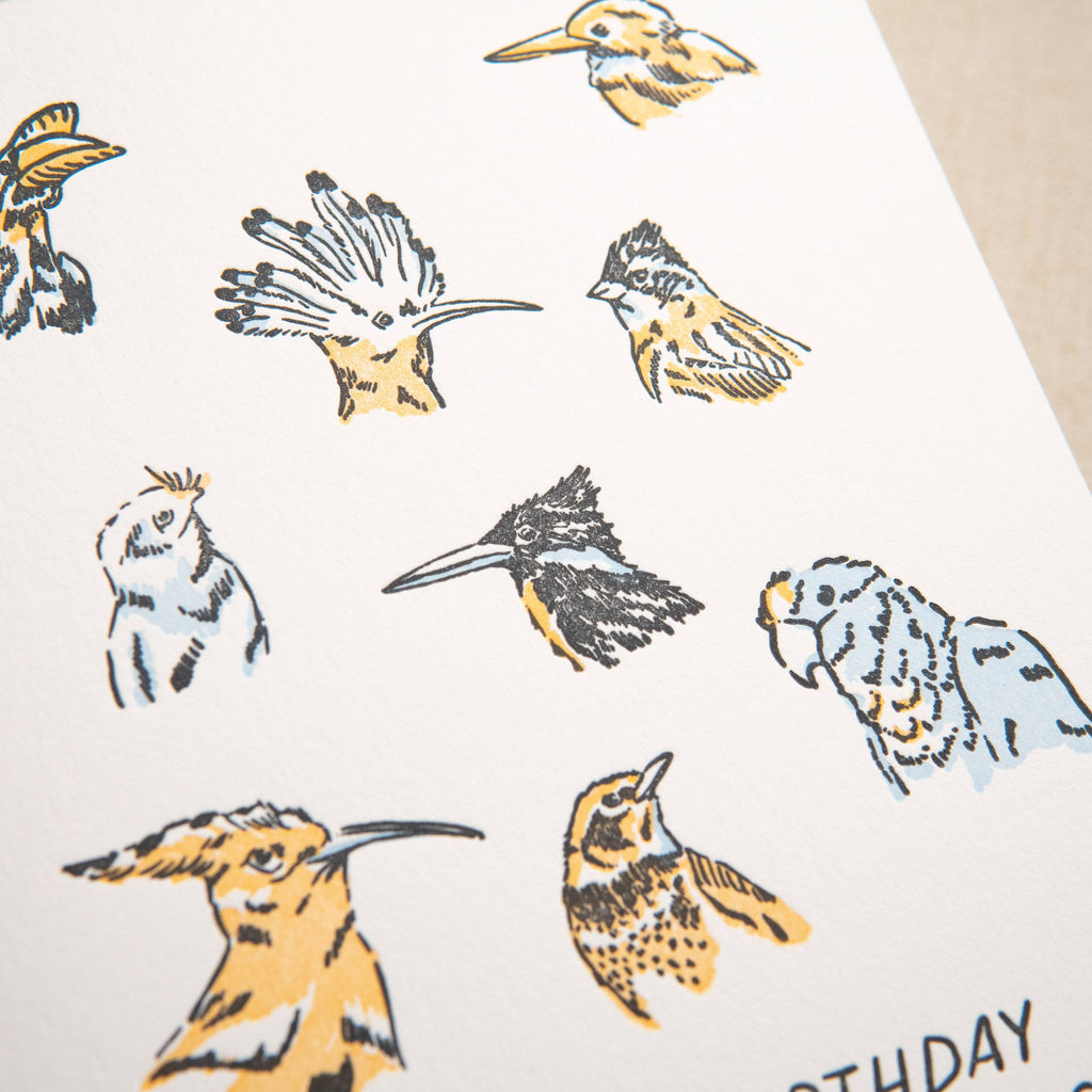 Kindred Letterpress - Rare Bird Birthday Card | Letterpress Birthday Card