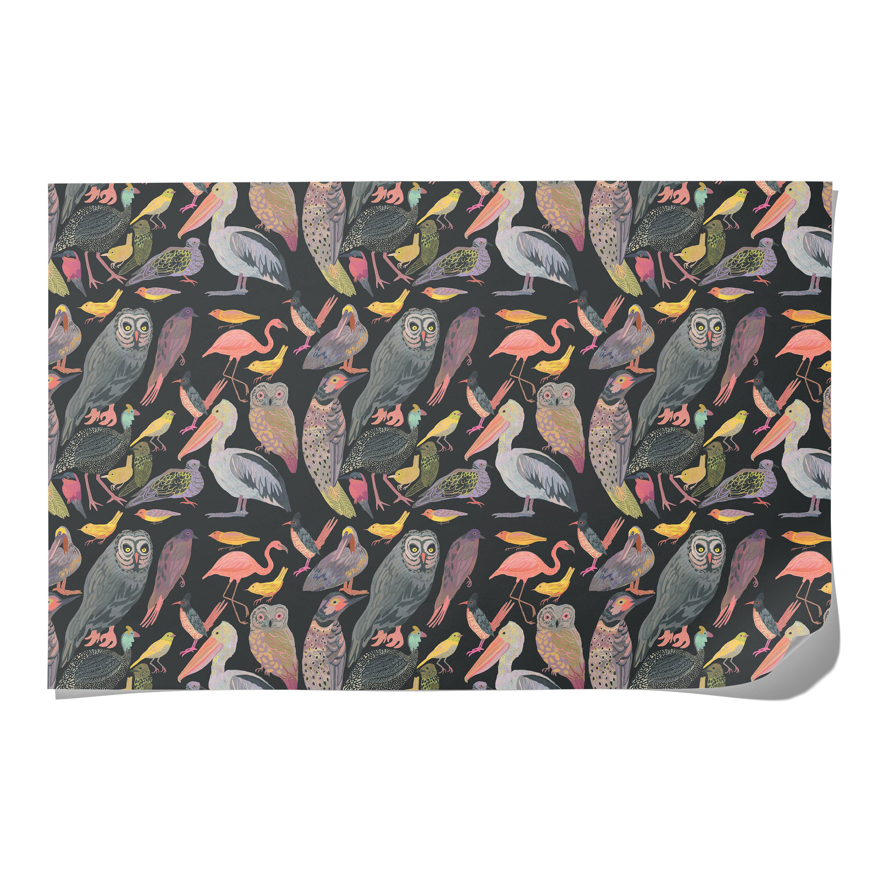 Red Cap Cards - Aviary wrapping paper: Flat sheet
