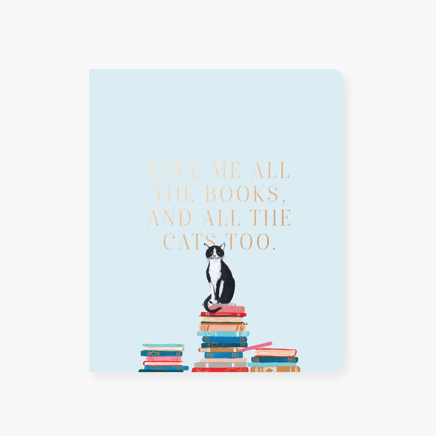 2021 Co. - Cats and stacks notebook