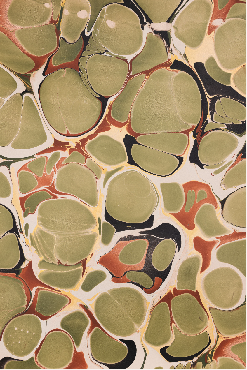 Glad & Young Studio - Meet & Greet Wallet: Champagne Problems