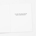 Apartment 2 Cards - Flamingo Couple Anniversary Card