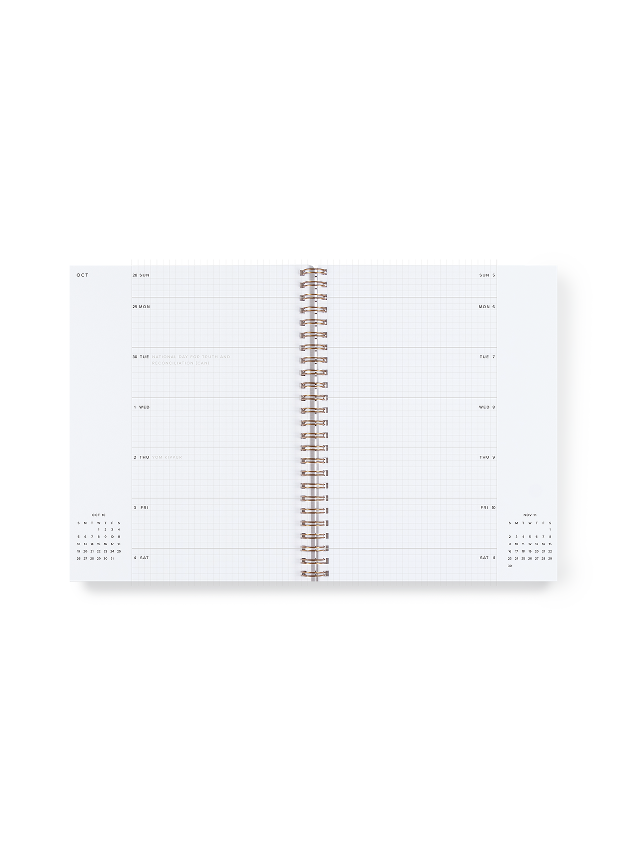 Appointed - 25-26 Weekly Grid Planner: Fern Green