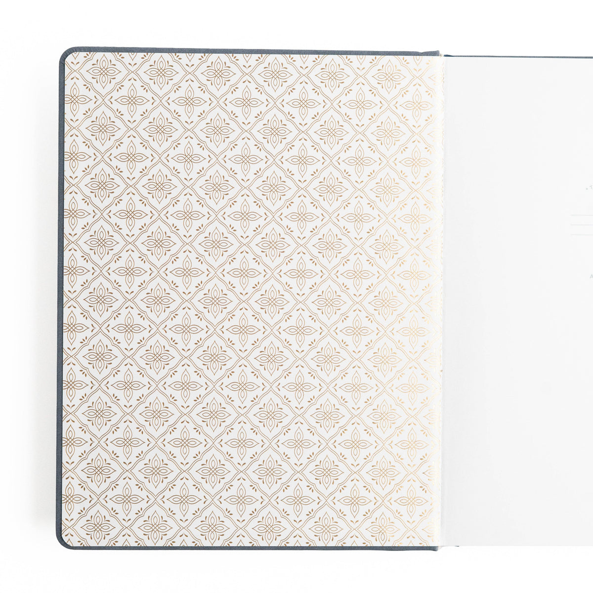 Archer and Olive - Storybook in Navy | Books: Ivory Dot Grid / B5