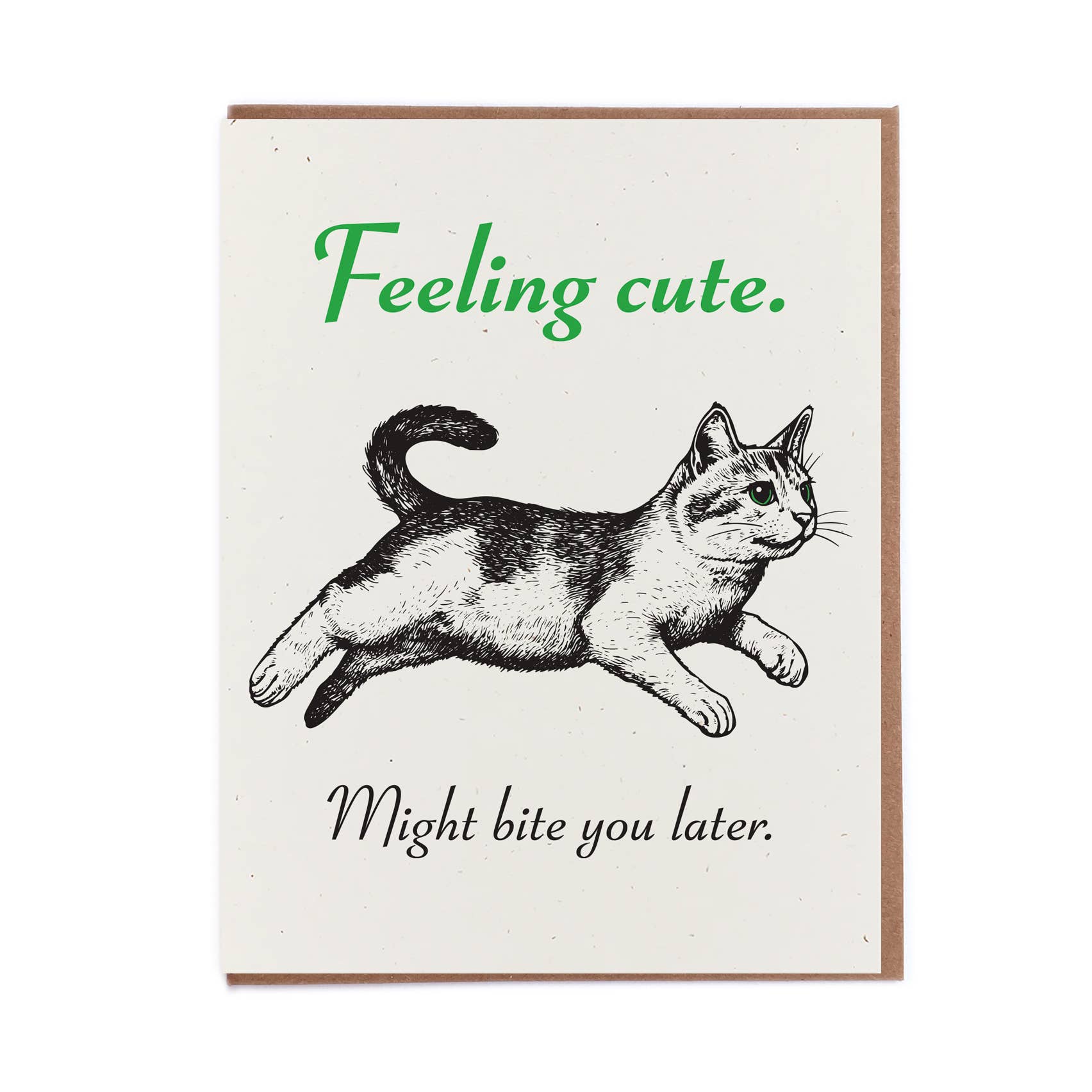 Lady Pilot Letterpress - Feeling Cute Kitten Greeting Card