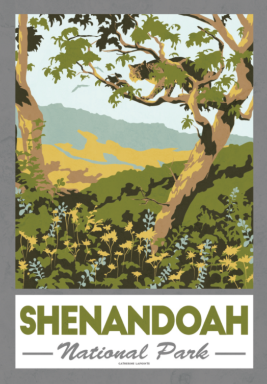 Lionheart Graphics - Shenandoah National Park | Virginia retro vinyl sticker