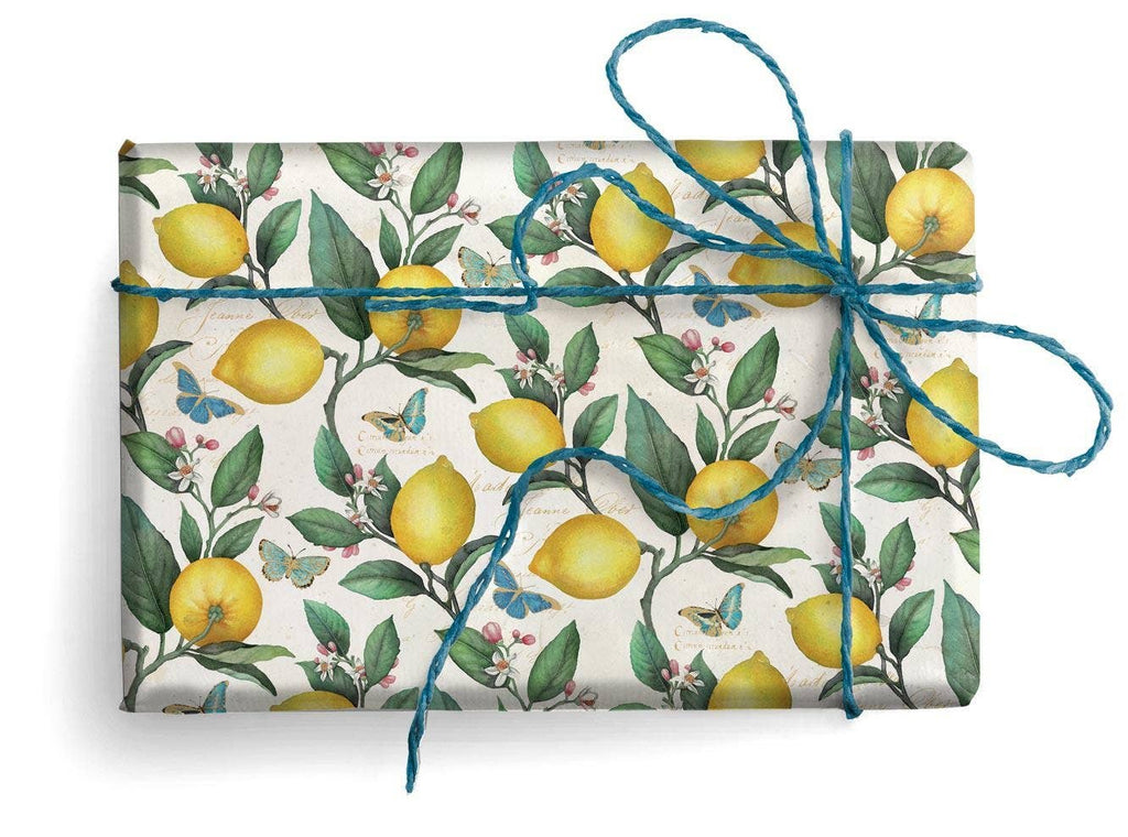 San Lorenzo Design - Florentine  Wrapping Paper, 19.7 x 27.6 in.: Penmanship