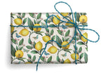 San Lorenzo Design - Florentine  Wrapping Paper, 19.7 x 27.6 in.: Penmanship