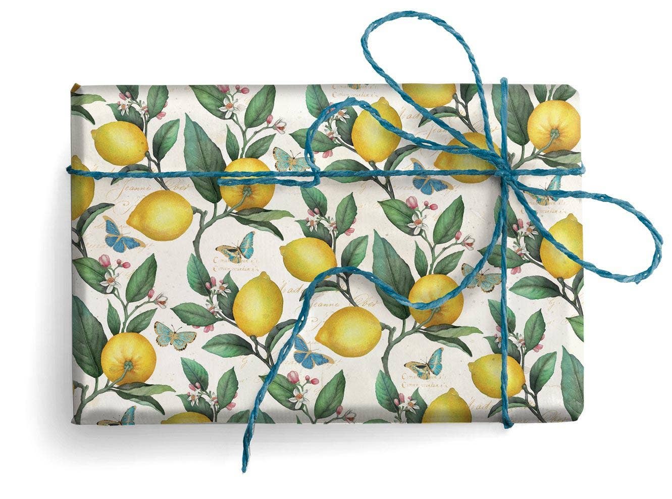 San Lorenzo Design - Florentine  Wrapping Paper, 19.7 x 27.6 in.: Foglie Invernali