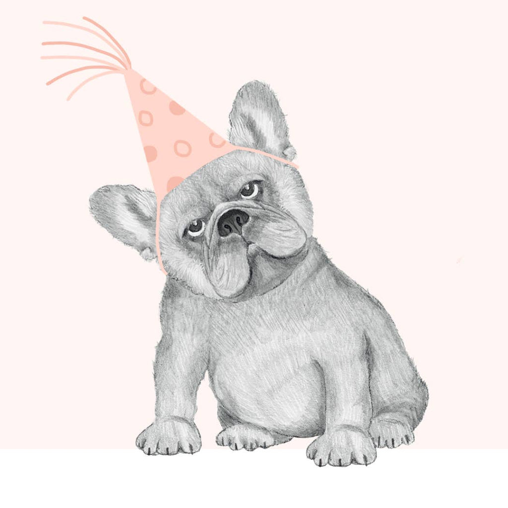 Dear Hancock - Frenchie Birthday