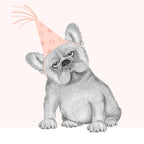 Dear Hancock - Frenchie Birthday