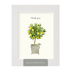 Felix Doolittle - Lemon Topiary - Thank You Card