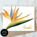 Abigail Jayne Design - Birds of Paradise  Greeting Card - Box Set of 6 | Thank You