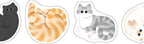 HITOTOKI by KING JIM - SODA transparent Masking Tape Sticker type: Pin badge
