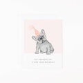 Dear Hancock - Frenchie Birthday