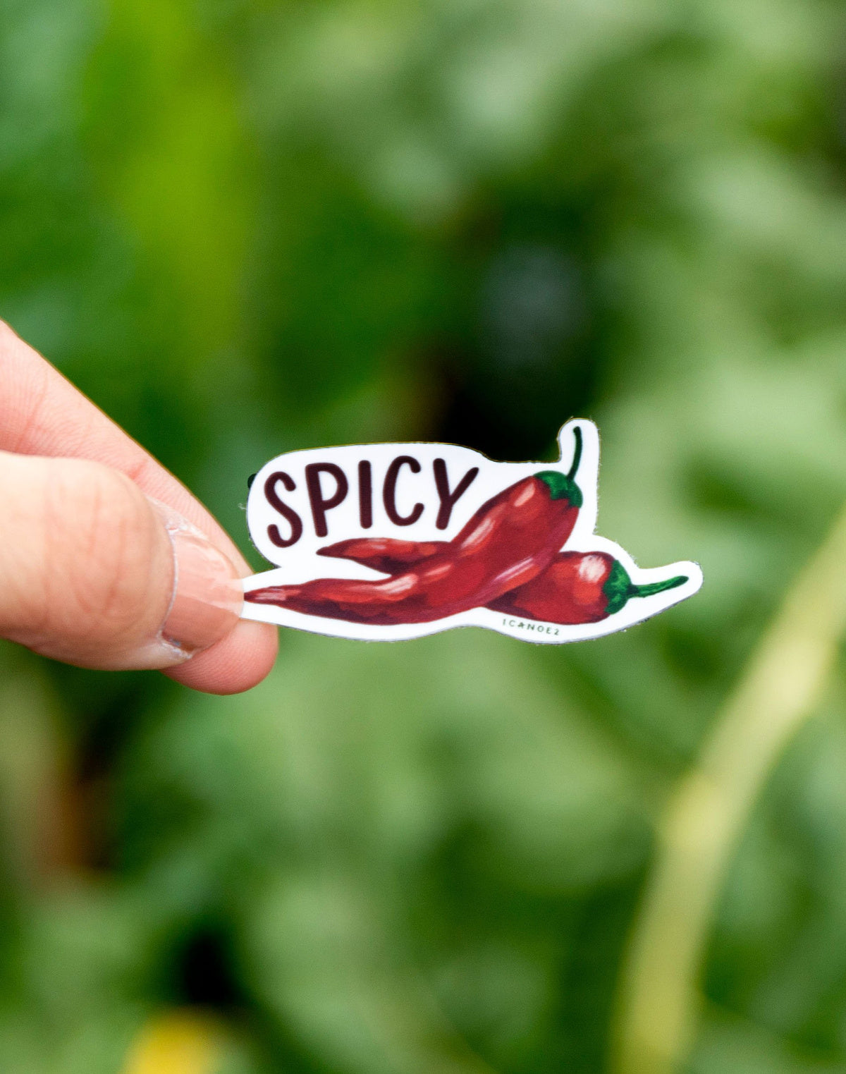 1Canoe2, Spicy Pepper Decal Sticker