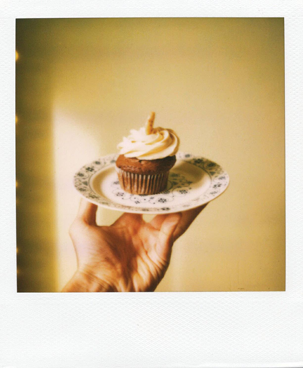 Chronicle Books - Polaroid Notes