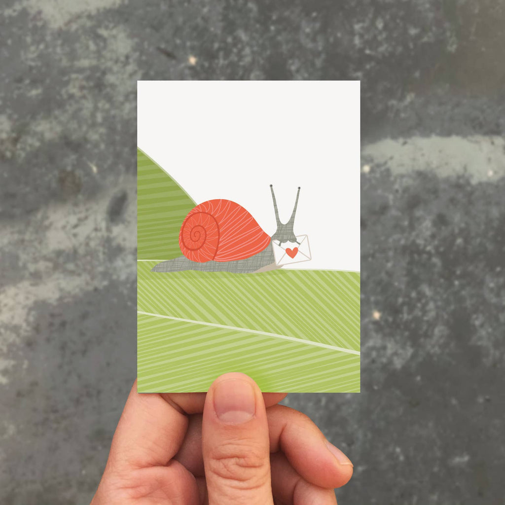 Modern Printed Matter - Snail Mail Enclosure - Box of 8