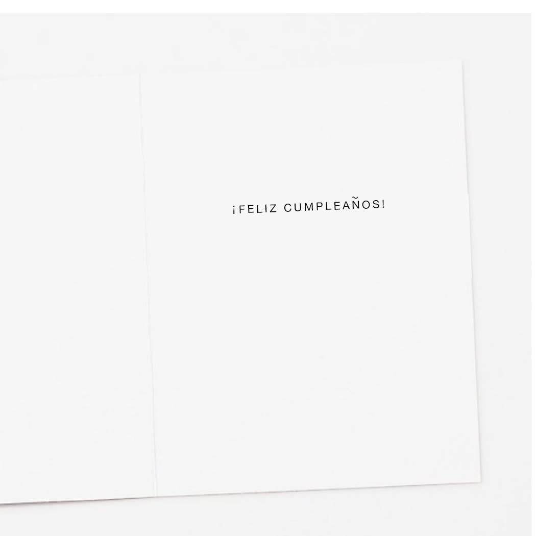 Apartment 2 Cards - SPANISH Make a Wish Birthday Card