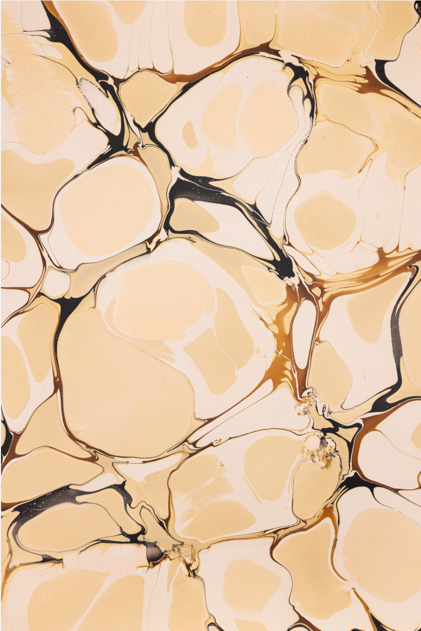 Glad & Young Studio - Meet & Greet Wallet: Champagne Problems