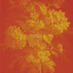 Pictrix Design - "I'm sorry" A6 card