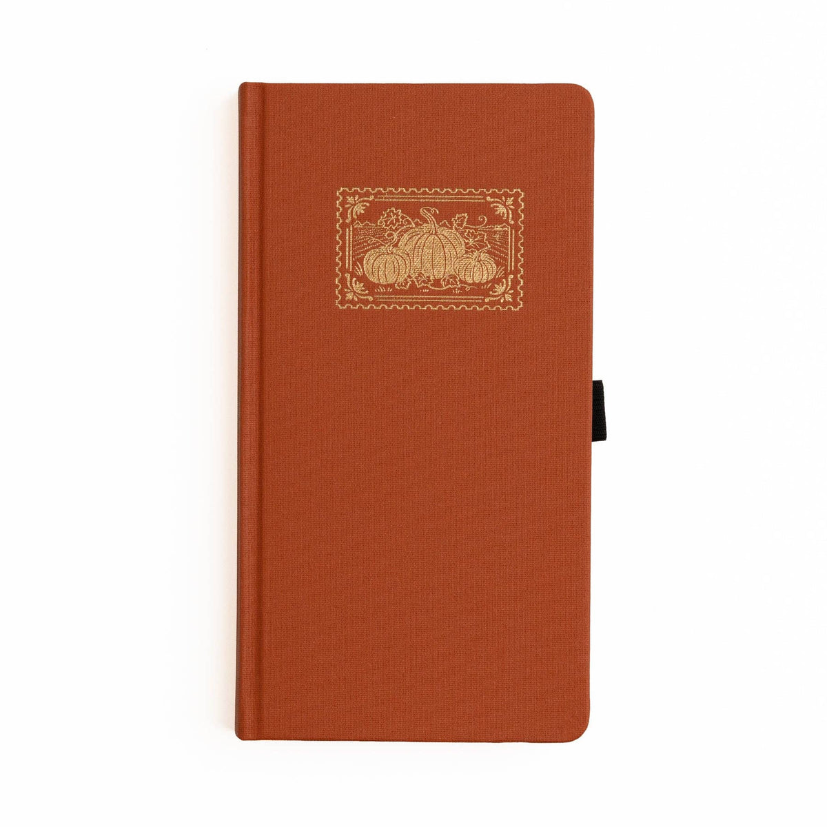Archer and Olive - Pumpkin Patch | Wholesale Special Edition: B5