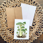 Cryptic Paper Co. - Set Of 6 Fantasy Forest Mushroom Watercolor Note Cards