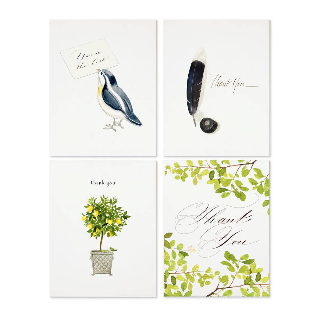 Felix Doolittle - Thanks a Lot 1  -- Note Set - Themed cards, boxed