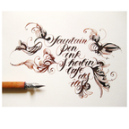 Brause Calligraphy Nib #76 - Rose - Box of 3 or Box of 15: BOX OF 3