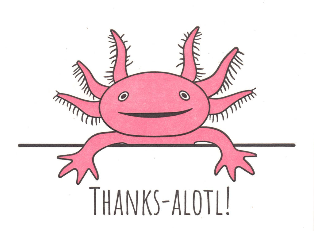 Lady Pilot Letterpress - Axolotl Thanks Greeting Card