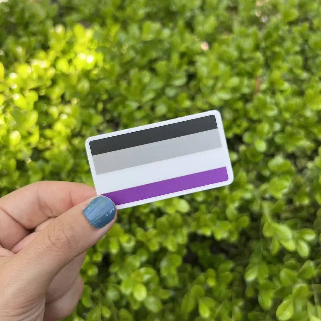 Stick With Finn - Asexual Pride Flag Sticker: 2.7 x 1.5 in