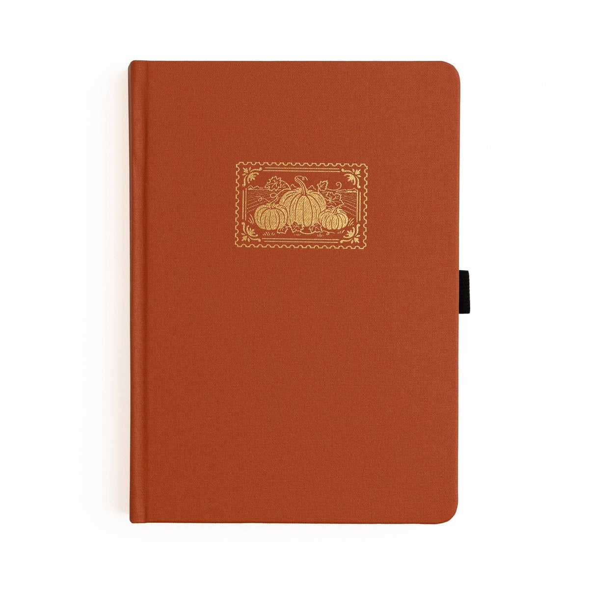 Archer and Olive - Pumpkin Patch | Wholesale Special Edition: B5