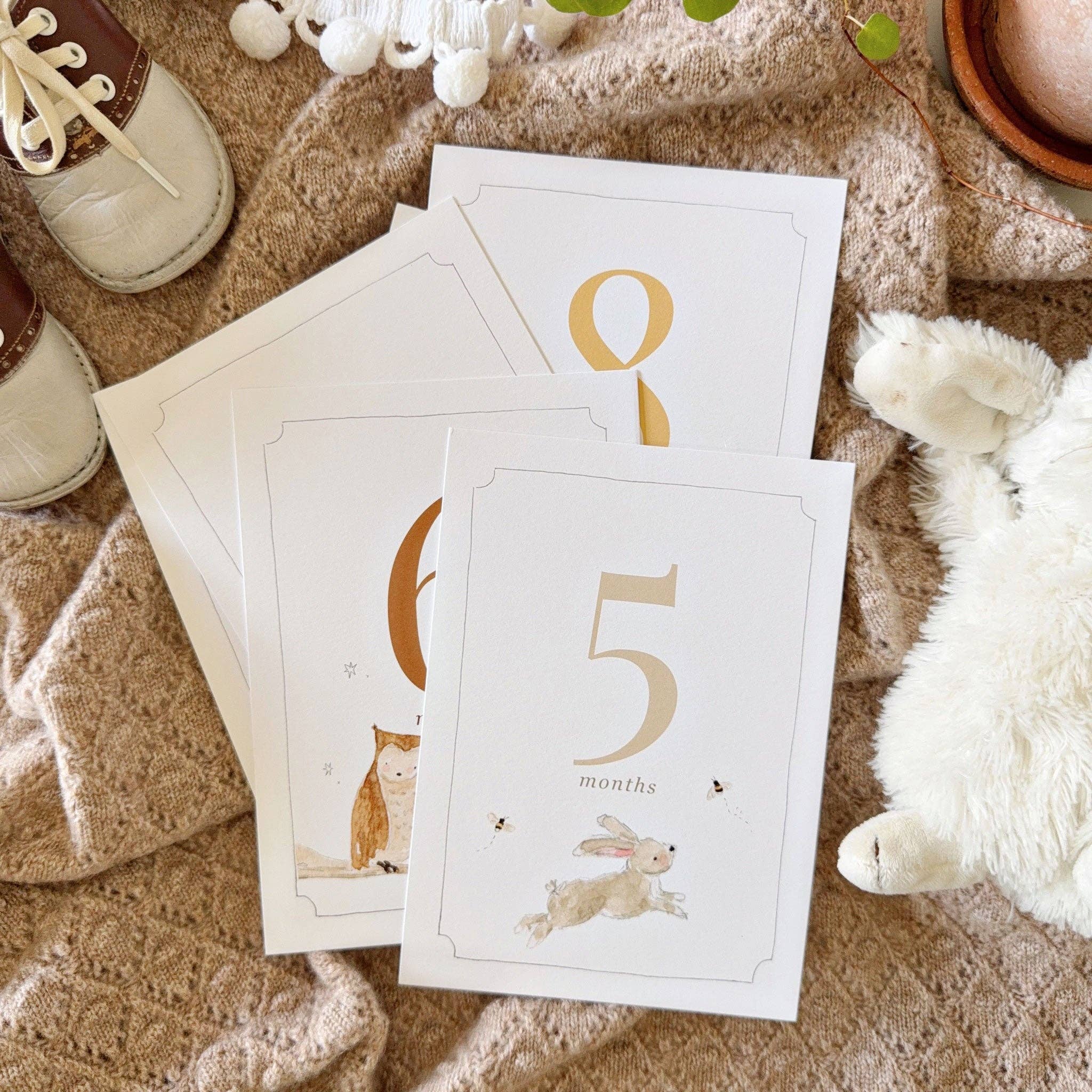 emily lex studio - Baby milestone cards