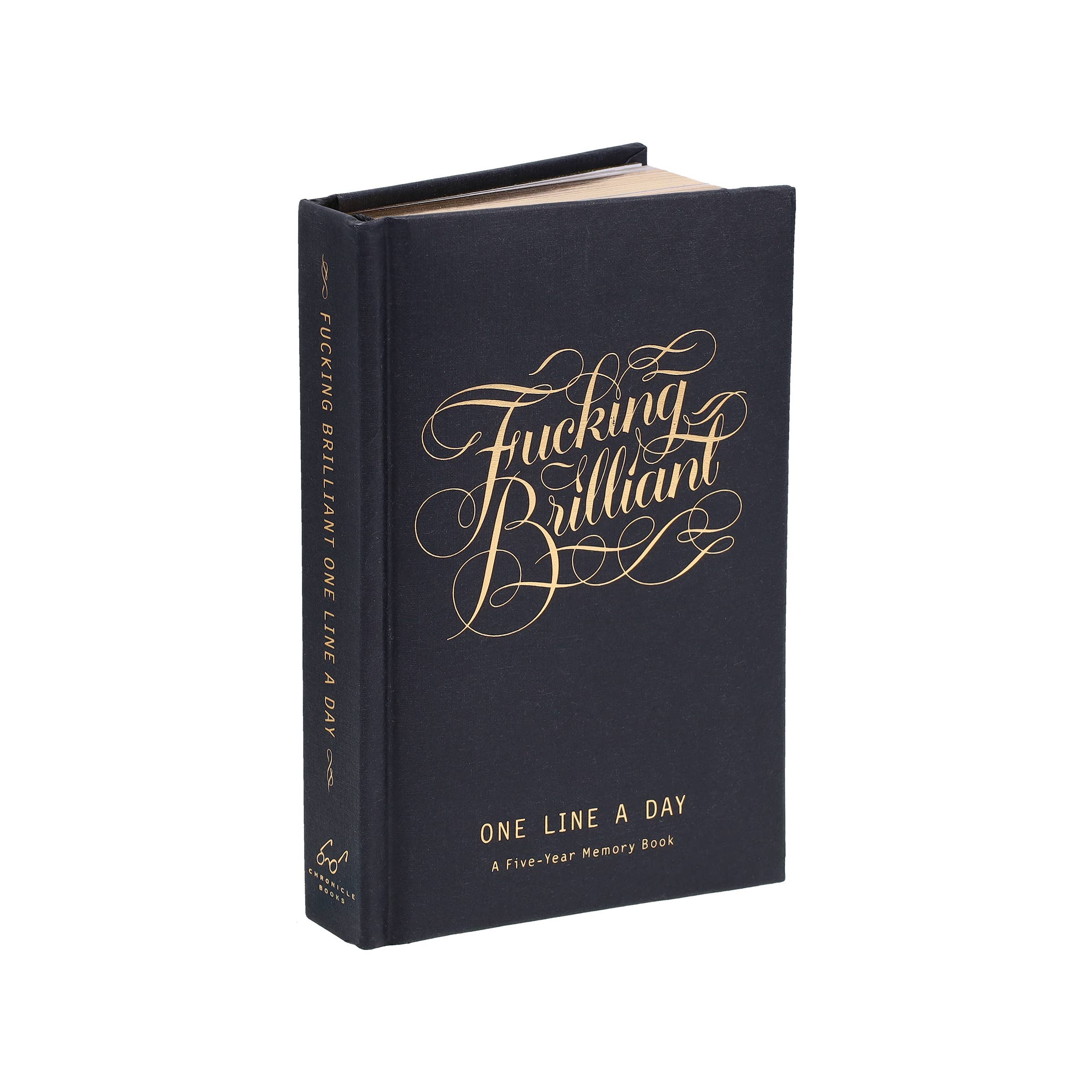 Chronicle Books - Fucking Brilliant One Line a Day