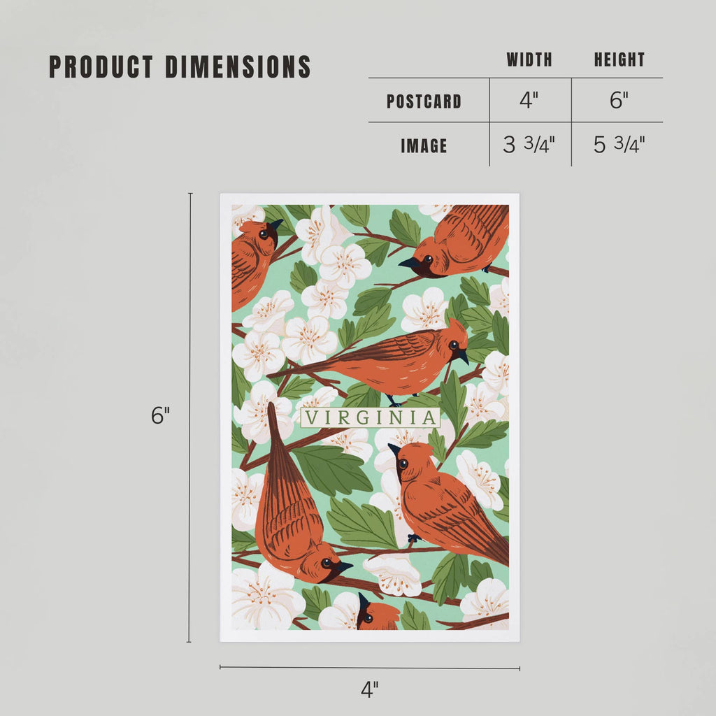 Lantern Press - PREMIUM POSTCARDS Virginia, Cardinal & Hawthorn Pattern