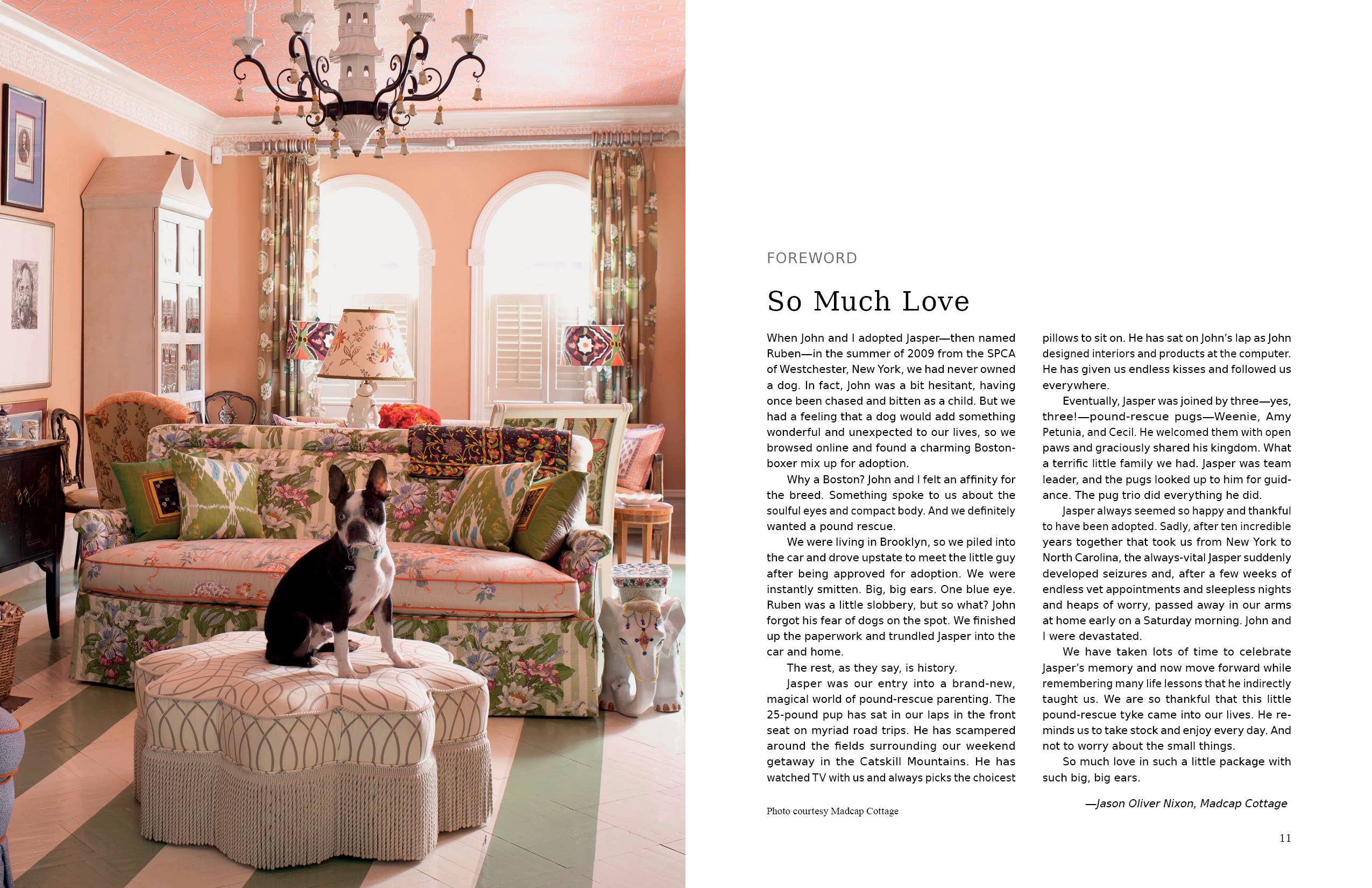 Schiffer Publishing - At Home with Dogs: Rescue Love Stories