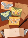 1canoe2 | Luna Moths Fold-Out  Greeting Card Box Set
