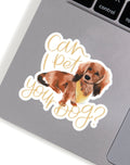 1Canoe2, Can I Pet YOur Dog? Sticker
