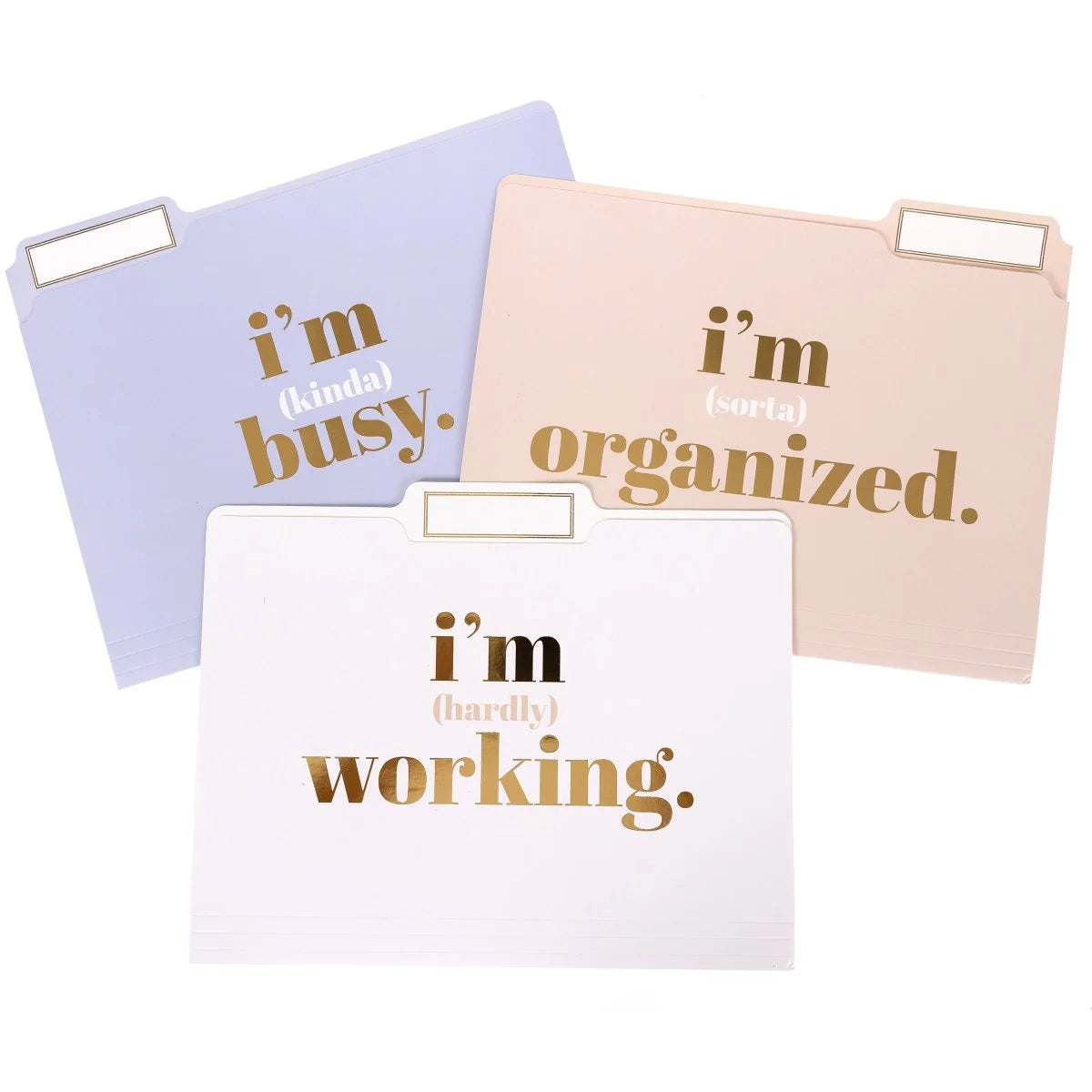 Graphique, I'm Busy File Folder Set